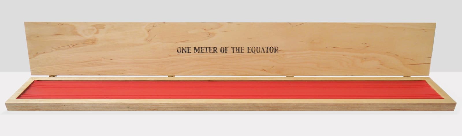 Manuela Ribadeneira, One Meter of the Equator, 2007
