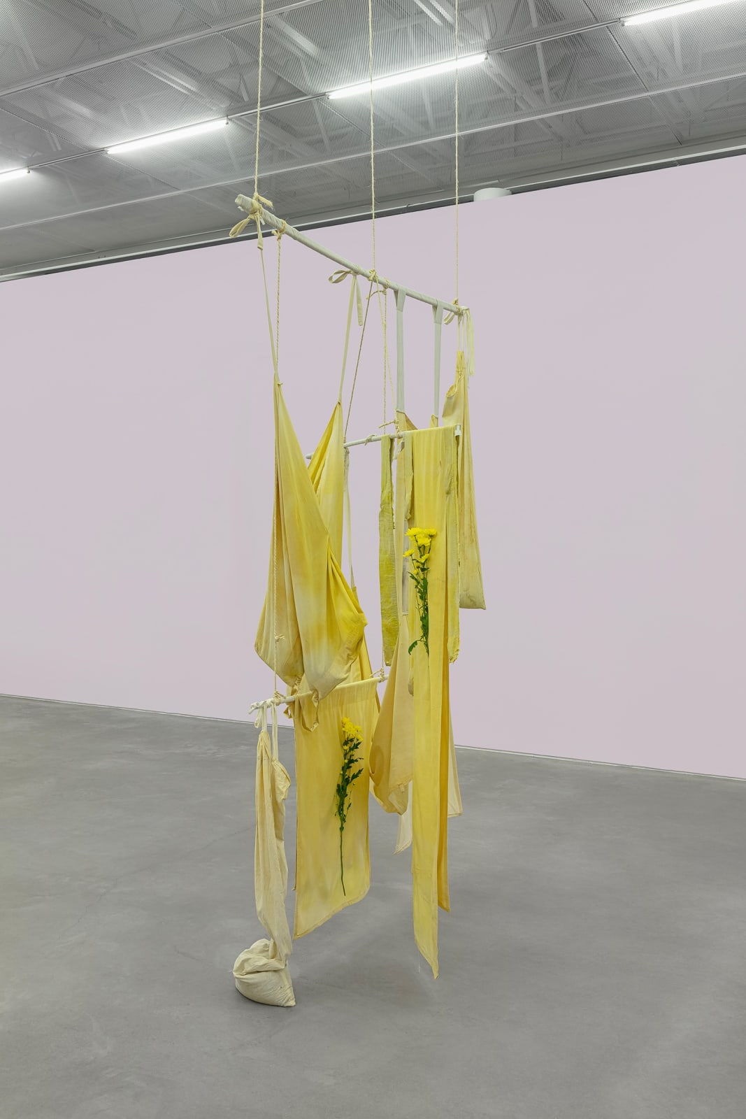 Dan Lie, Sobre Pensamentos em Amarelo 3, 2024