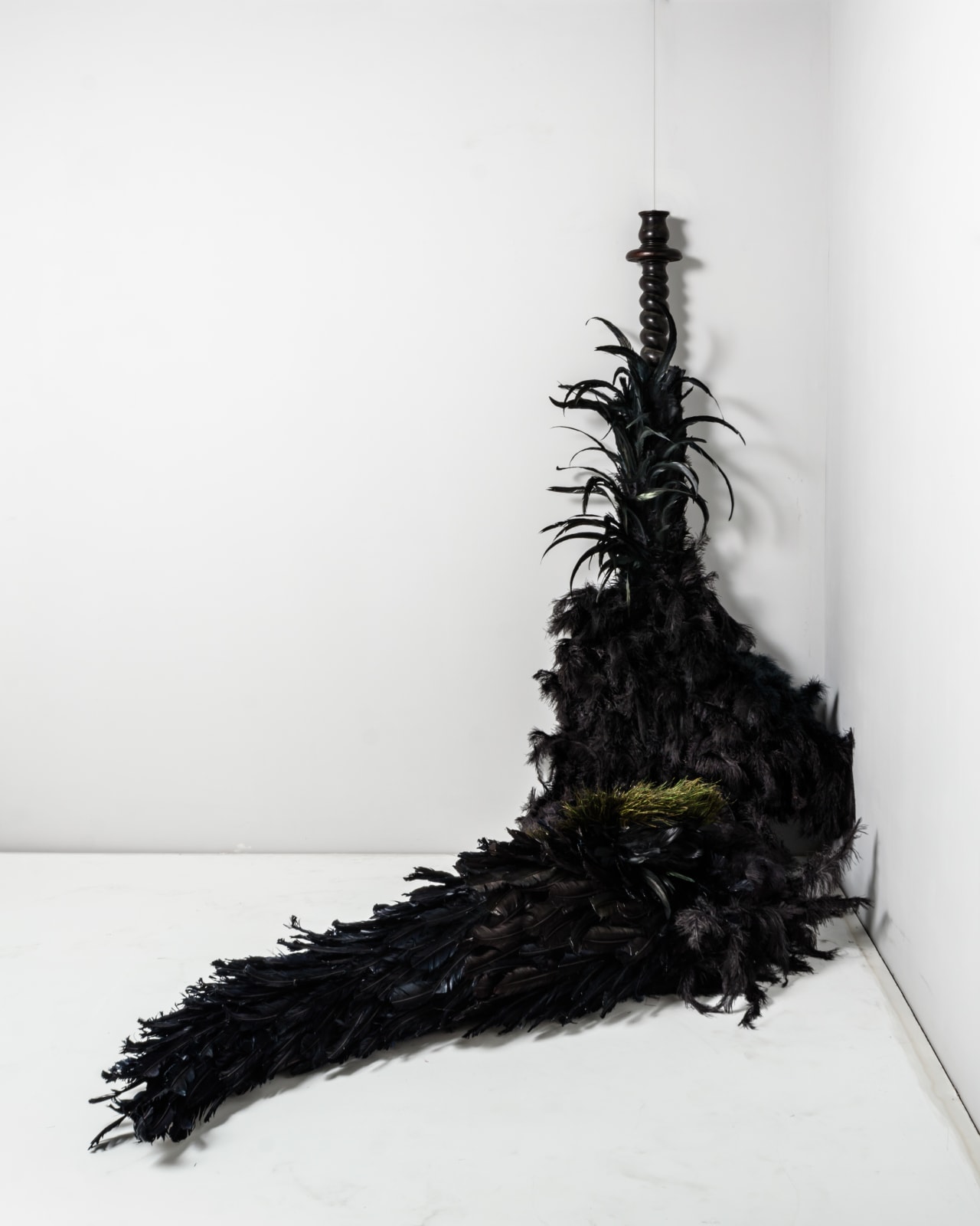 Zé Carlos Garcia, pássaro, 2010