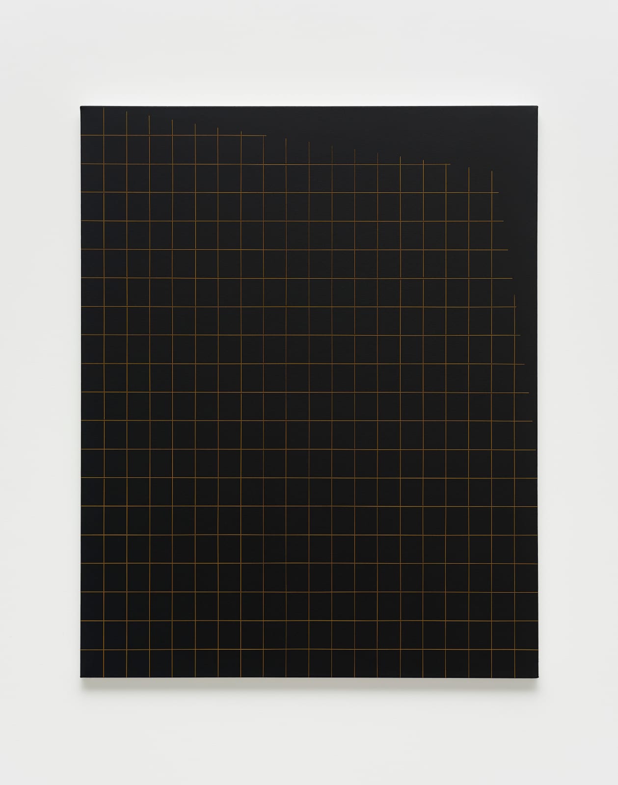 Valdirlei Dias Nunes, Untitled (grid with top side trim), 2017