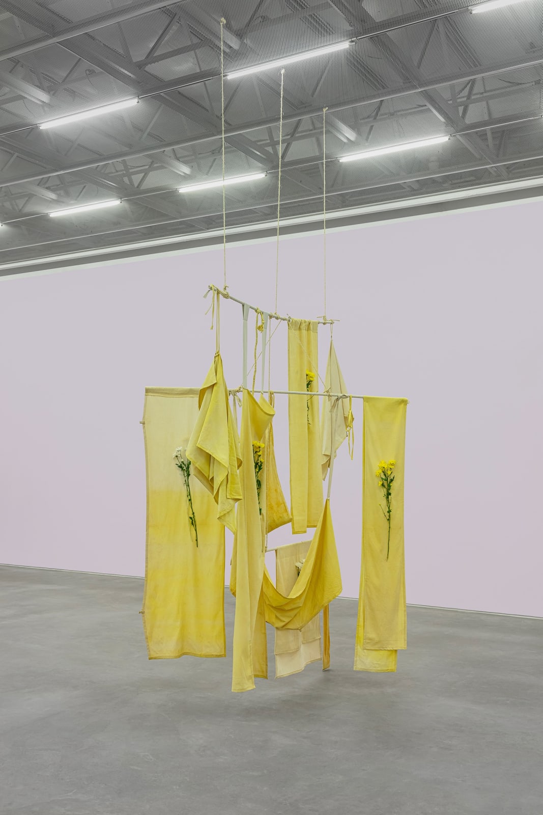 Dan Lie, Sobre Pensamentos em Amarelo 2, 2024
