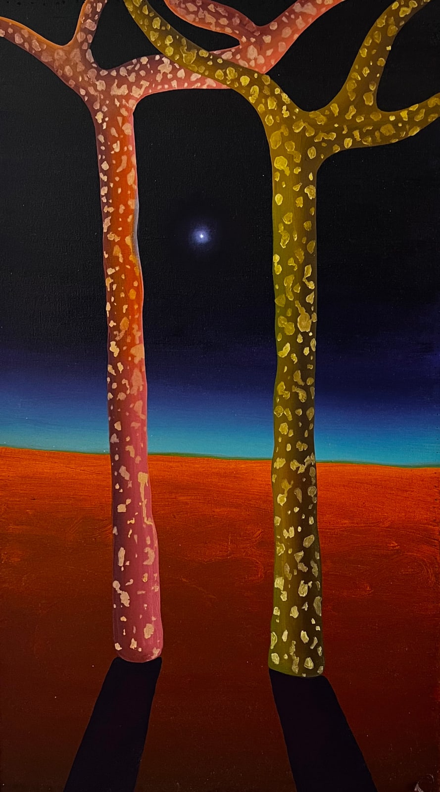 Rafael Chavez, Estrela guia I, 2024