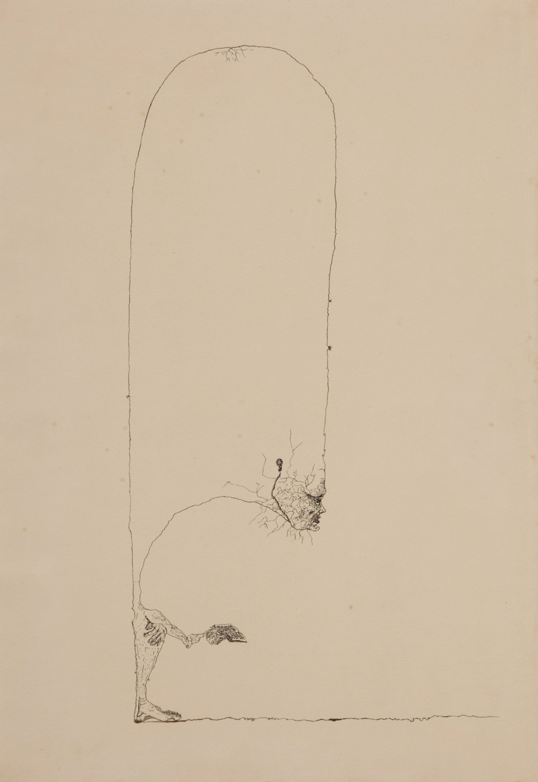 Antonio Henrique Amaral, Cabeça, 1957