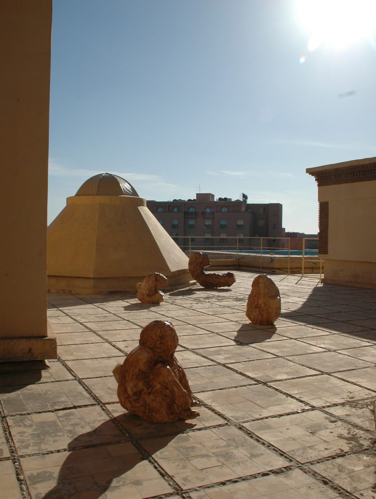Juliana Cerqueira Leite, Higher Atlas, 4th Marrakech Biennial, 2012