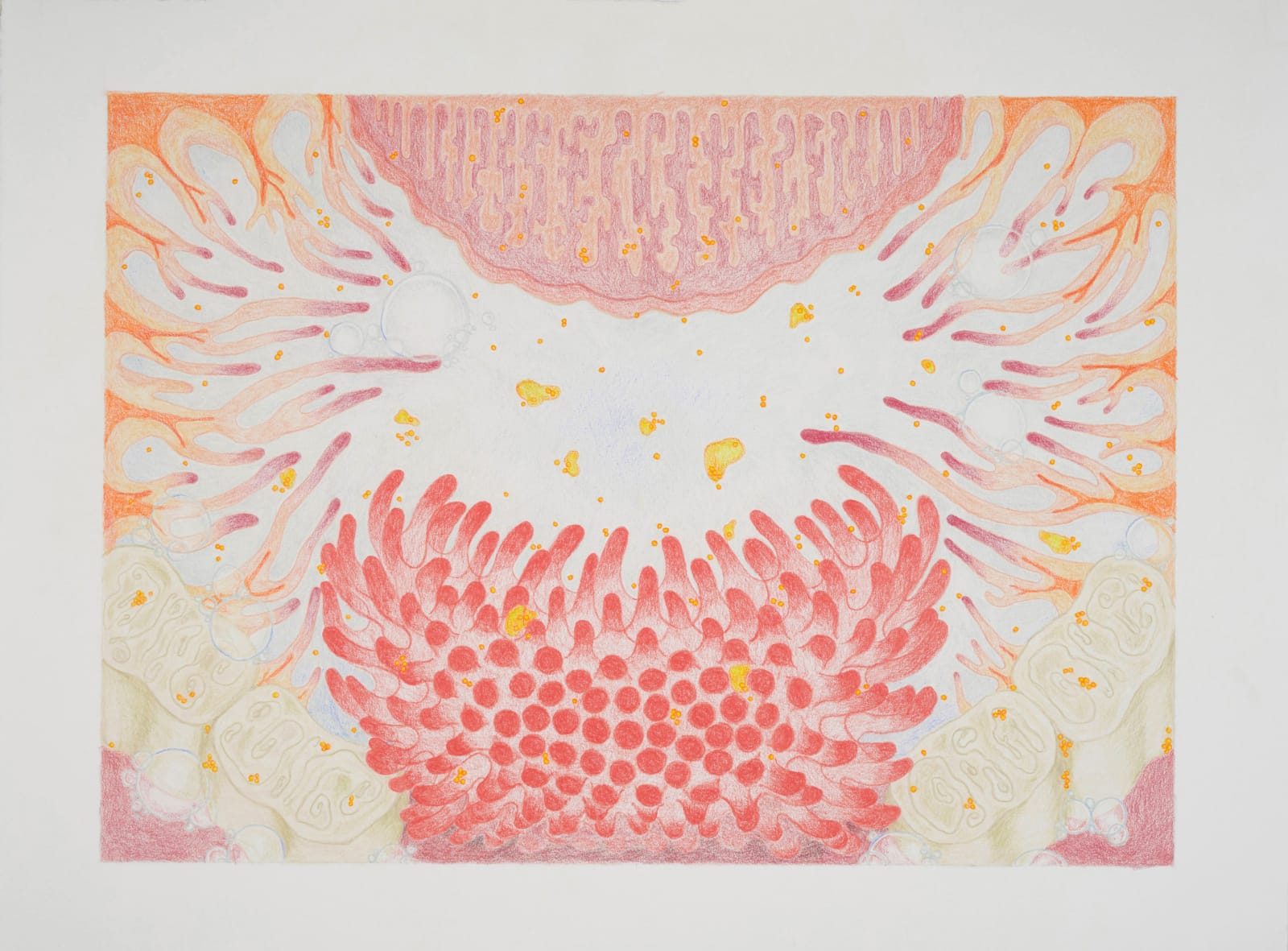 Juliana Cerqueira Leite, Palate, 2023
