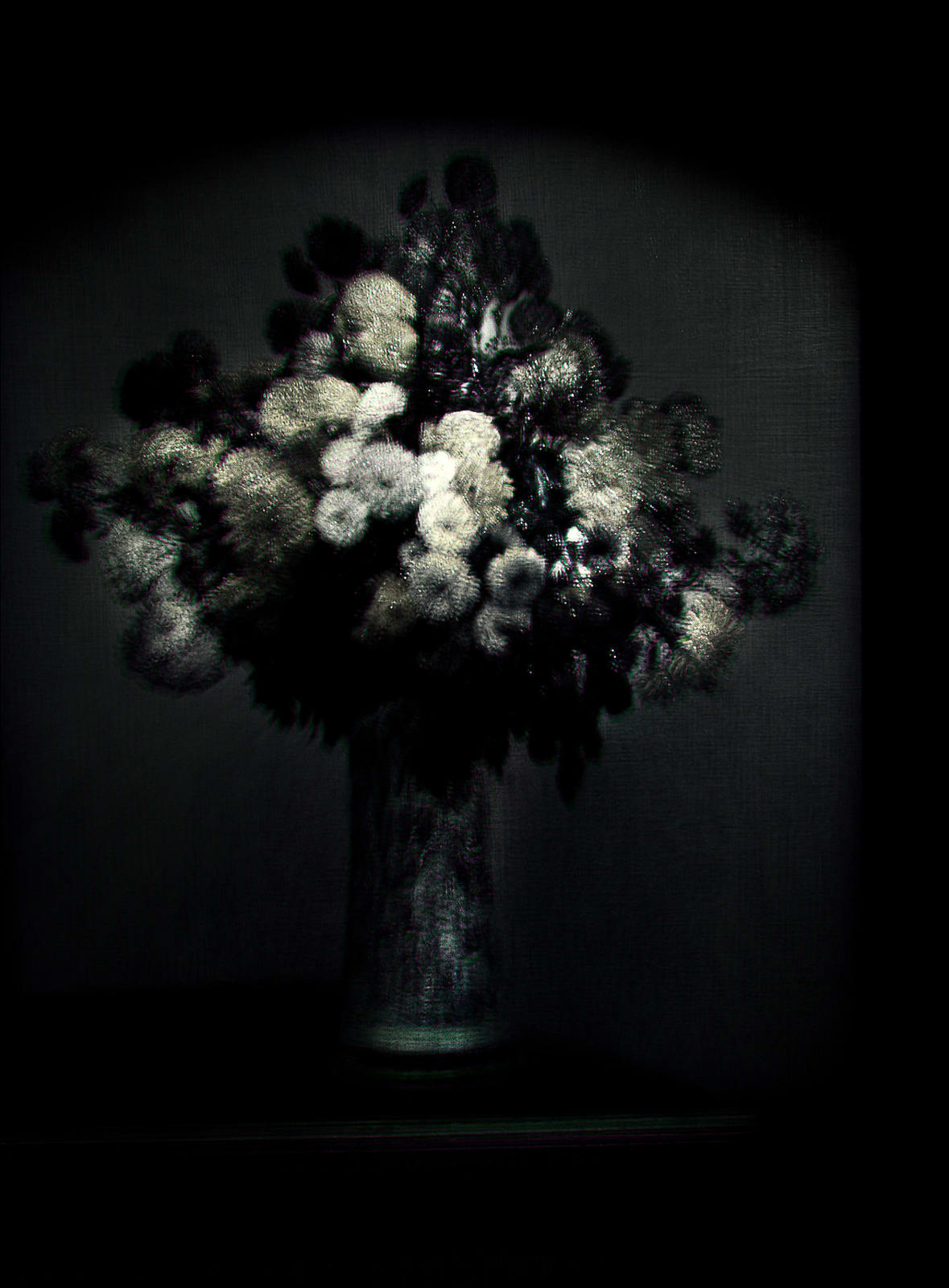 Albano Afonso, Flores 01, 2023