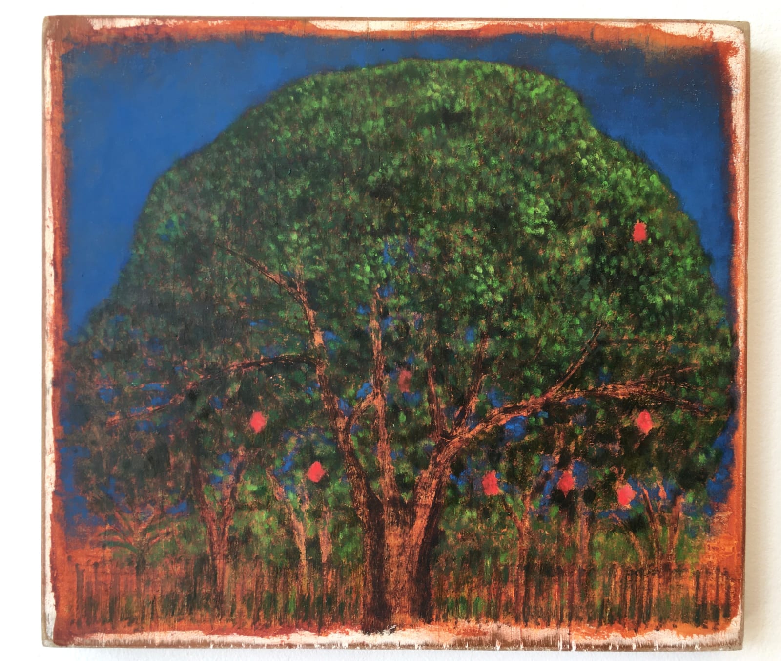 Mauricio Parra, Quintal n57, 2024