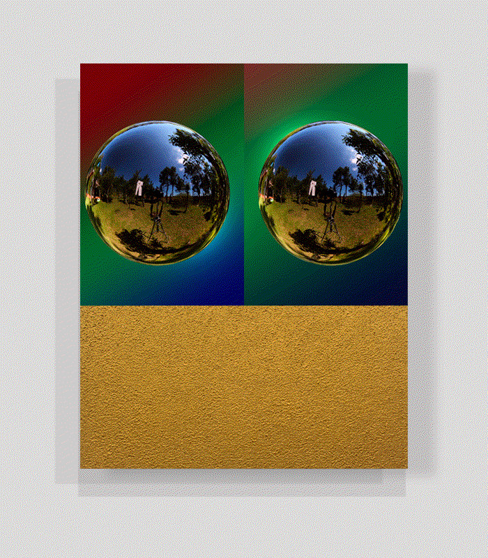 Tony Camargo, PF290, 2015
