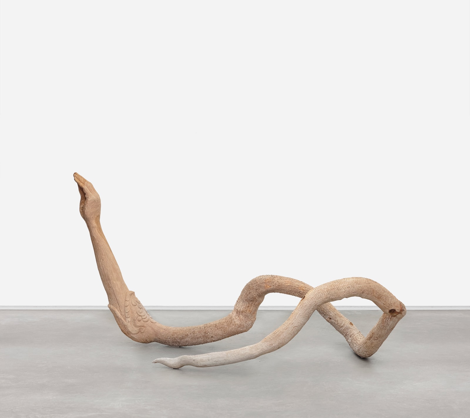 Zé Carlos Garcia, Cobra [Suíte series], 2025