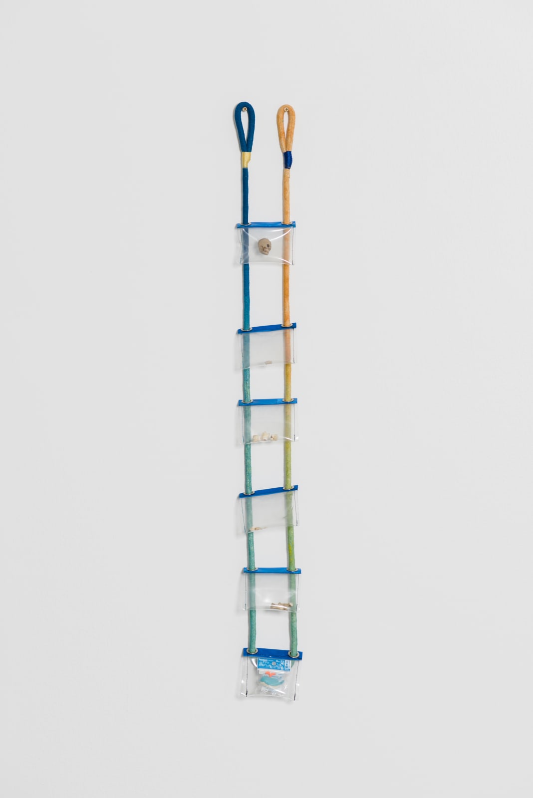 Dan Lie, Transition, 2015