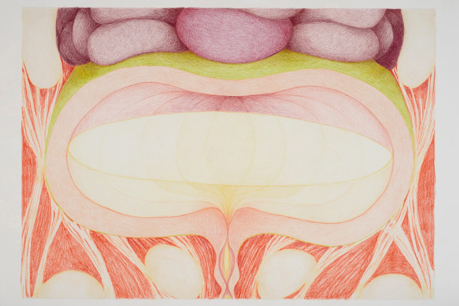 Juliana Cerqueira Leite, Bladder, 2023