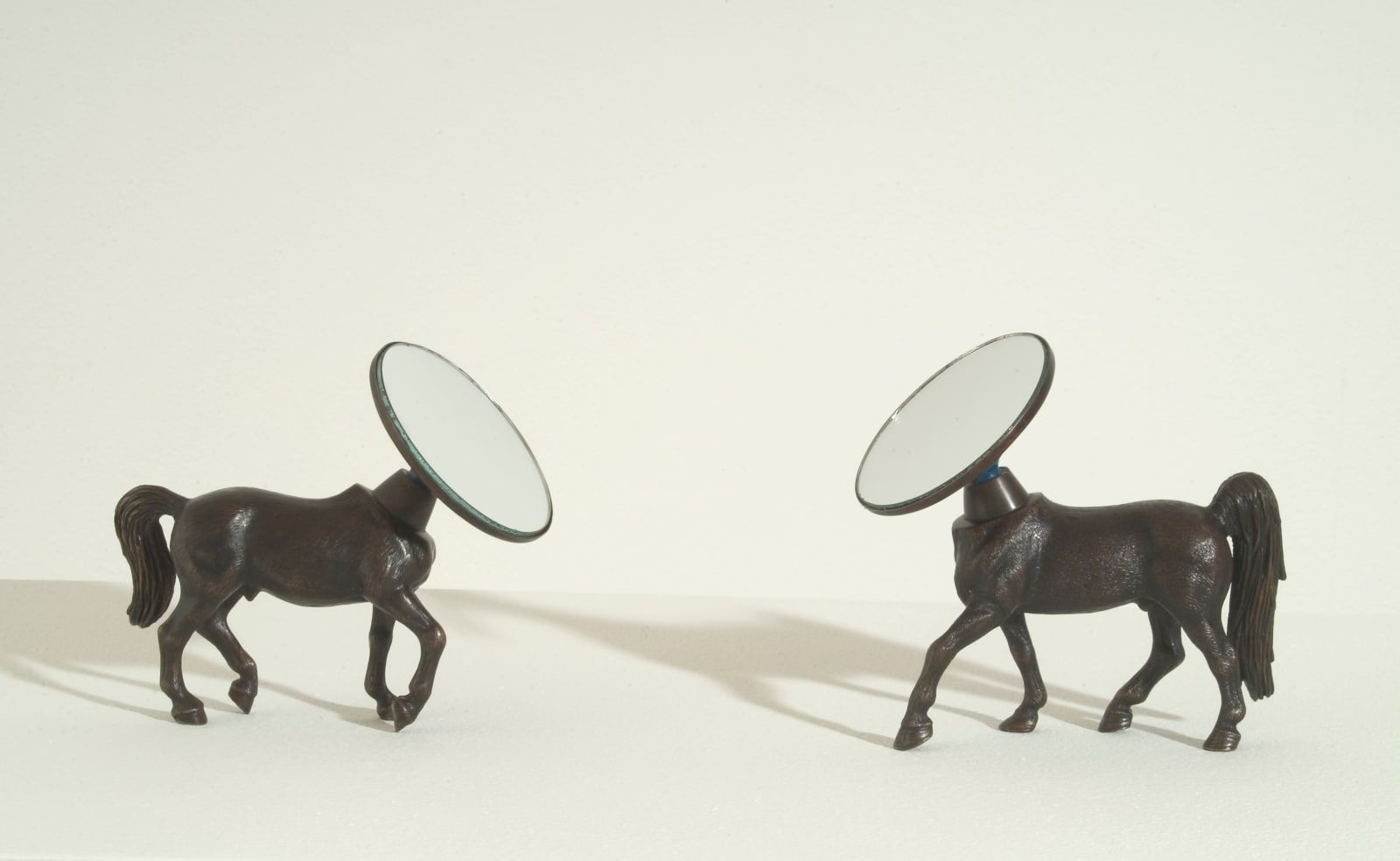 Manuela Ribadeneira, Being born in a stable does not make you a horse, 2008