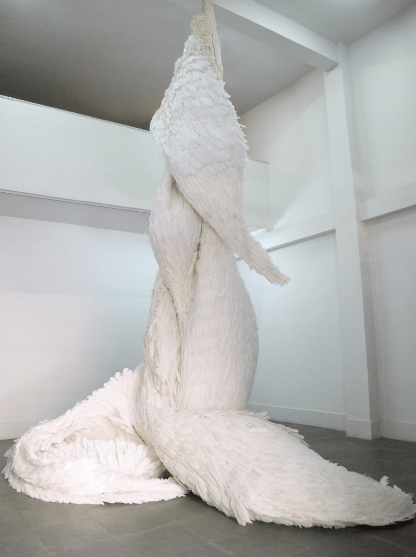 Zé Carlos Garcia, gira, 2012