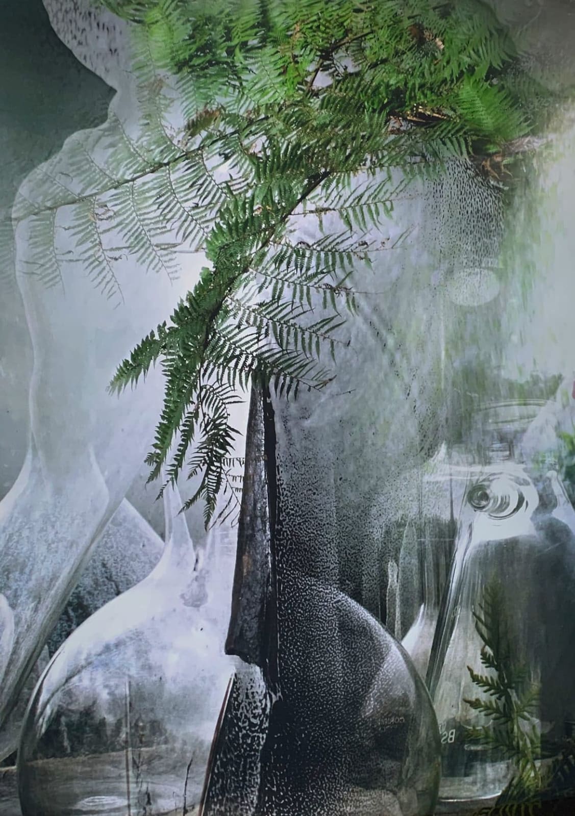 Janet Laurence, Conversing with Plants , 2024