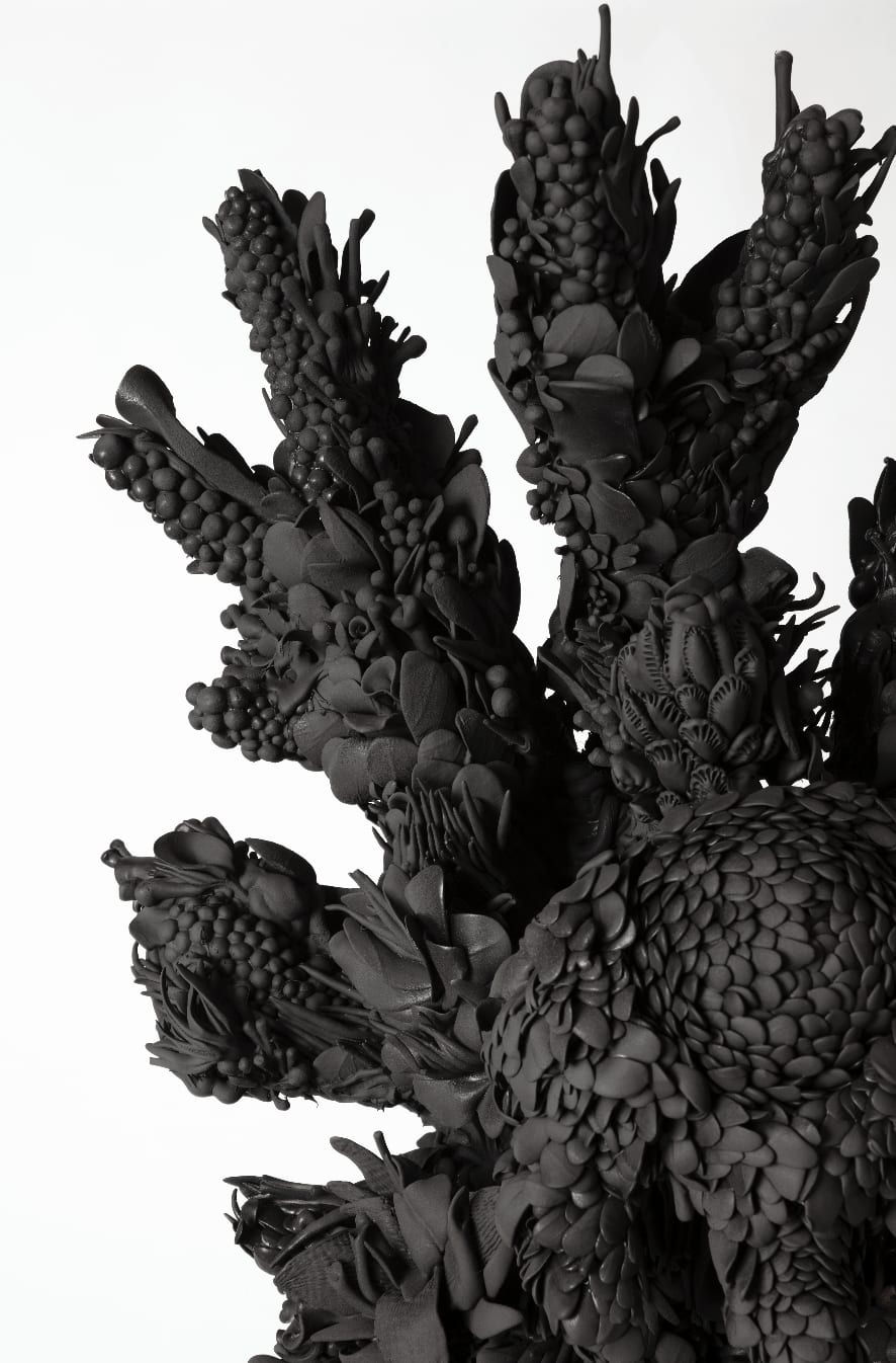 Juz Kitson, Observe the many ways, liminal spaces bordering things we already know. In memory of the wildfires, 2022