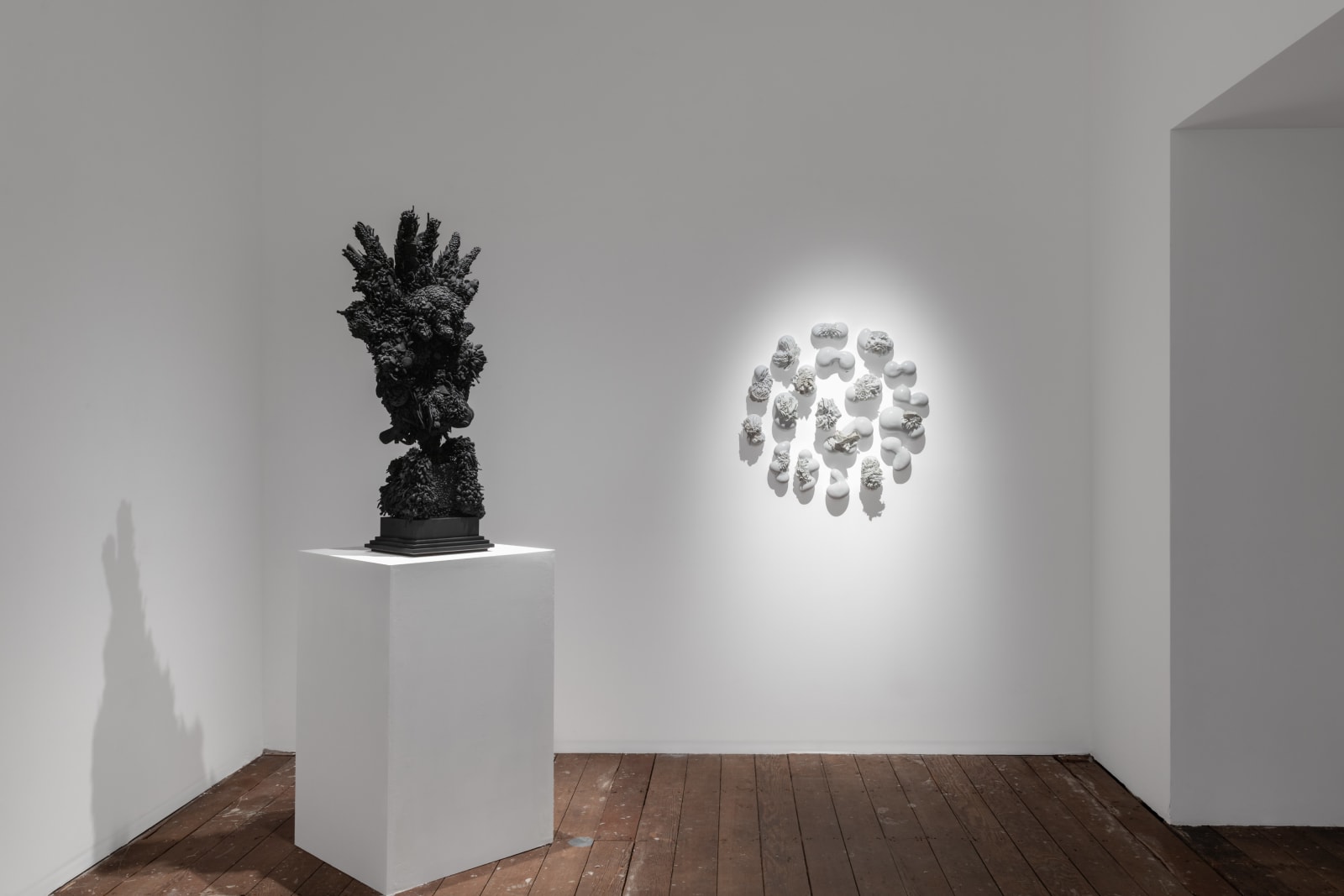 Juz Kitson, Observe the many ways, liminal spaces bordering things we already know. In memory of the wildfires, 2022