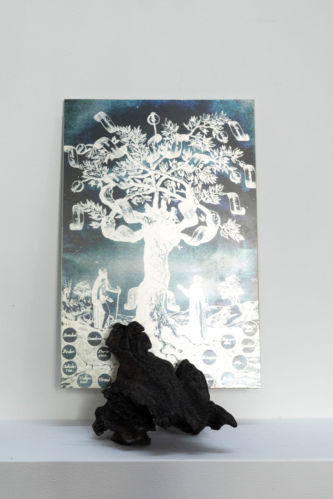 Janet Laurence, Gardening Knowledge, 2024