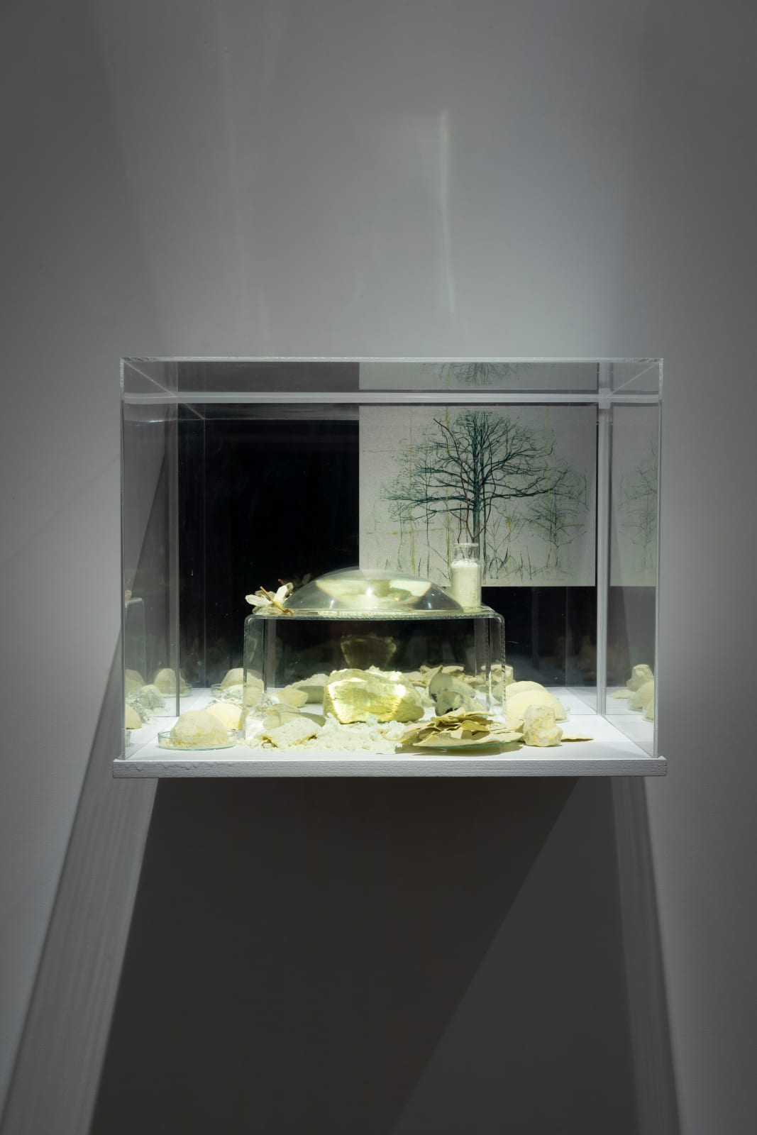 Janet Laurence, Garden for Mondrien, 2024