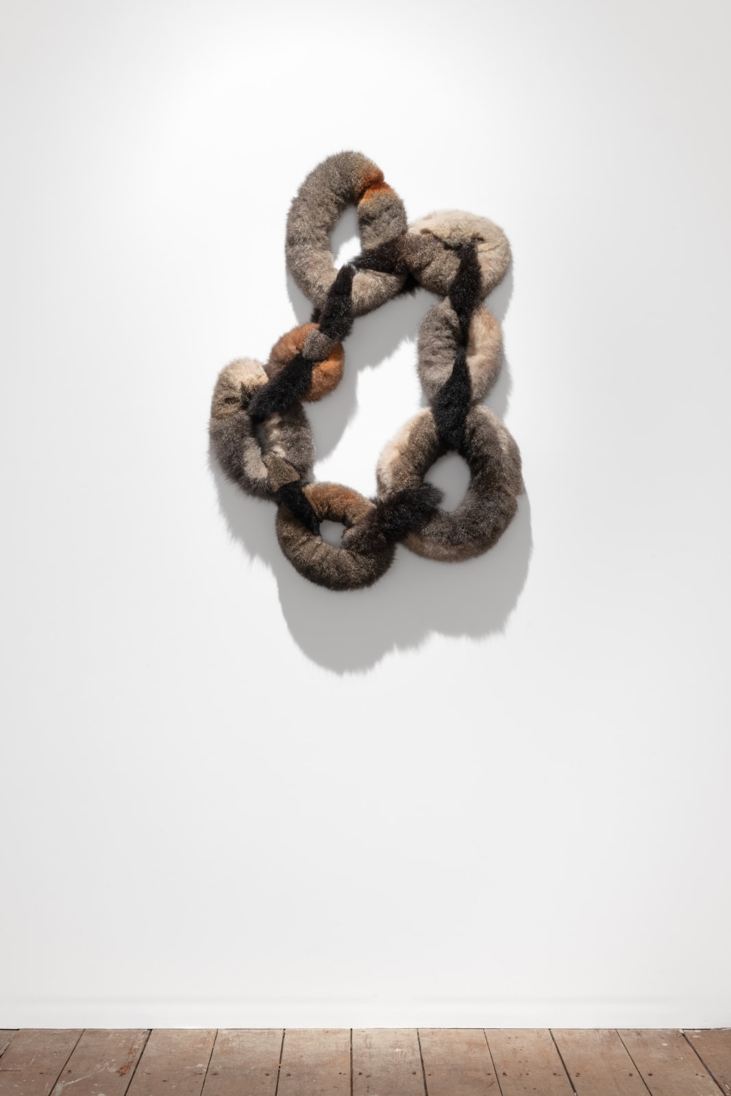 Juanita McLauchlan, mudhay nhiigiliirr/possum, 2023