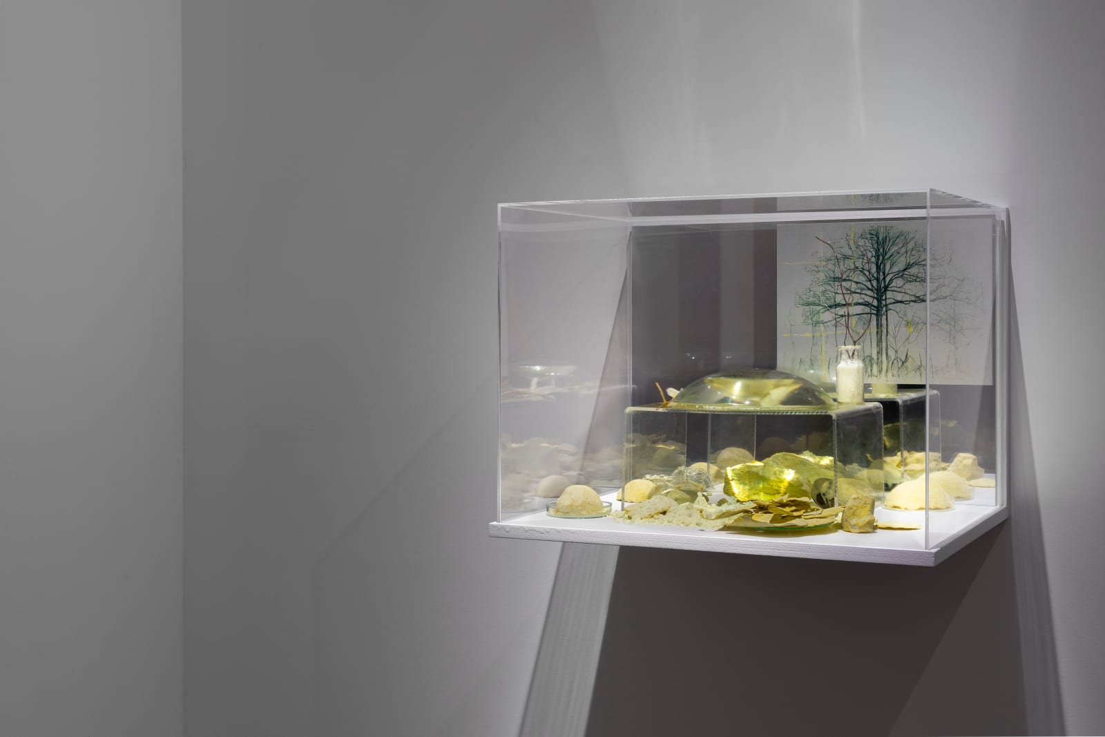 Janet Laurence, Garden for Mondrien, 2024