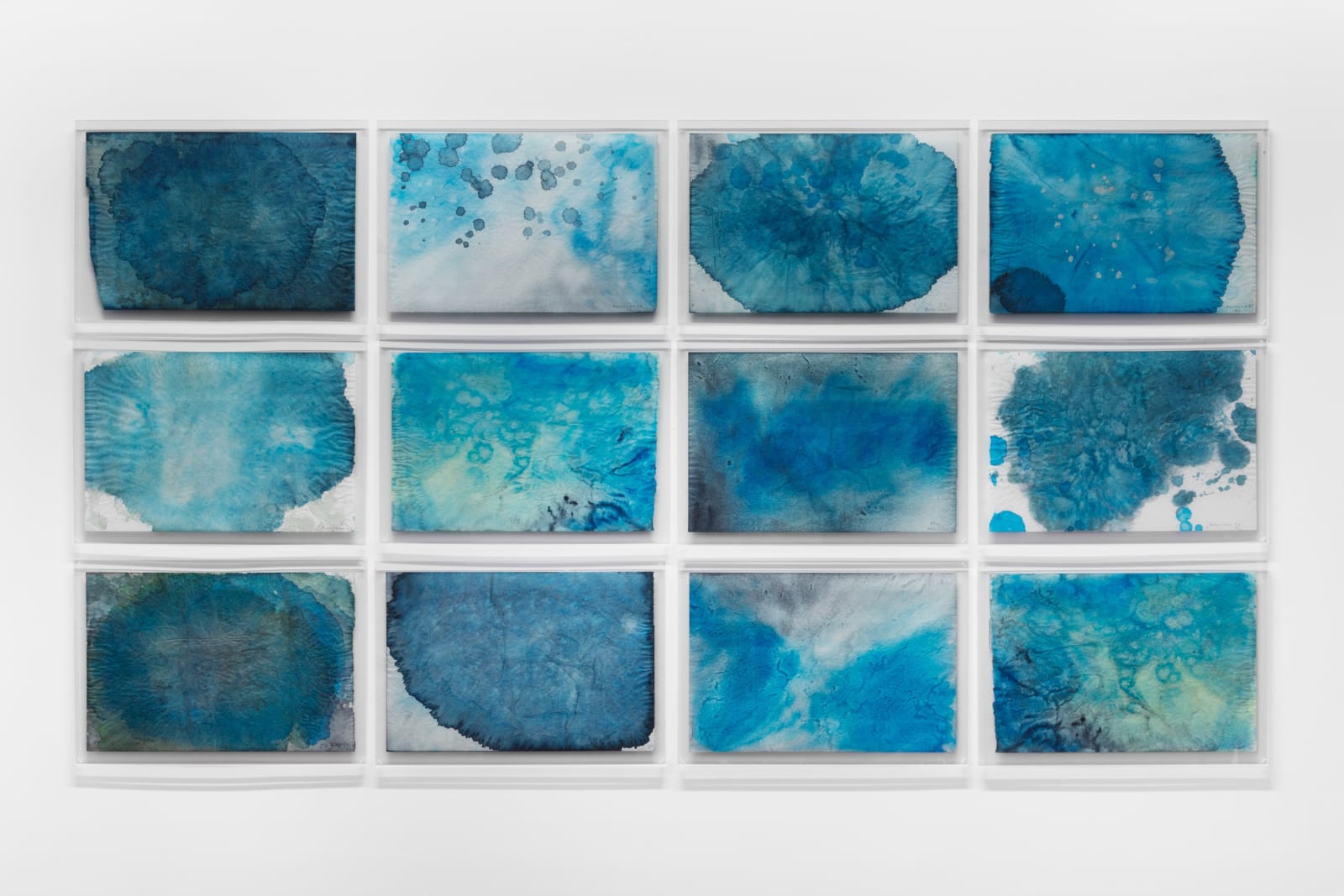 Janet Laurence, Ice has a memory and the colour is blue , 2020
