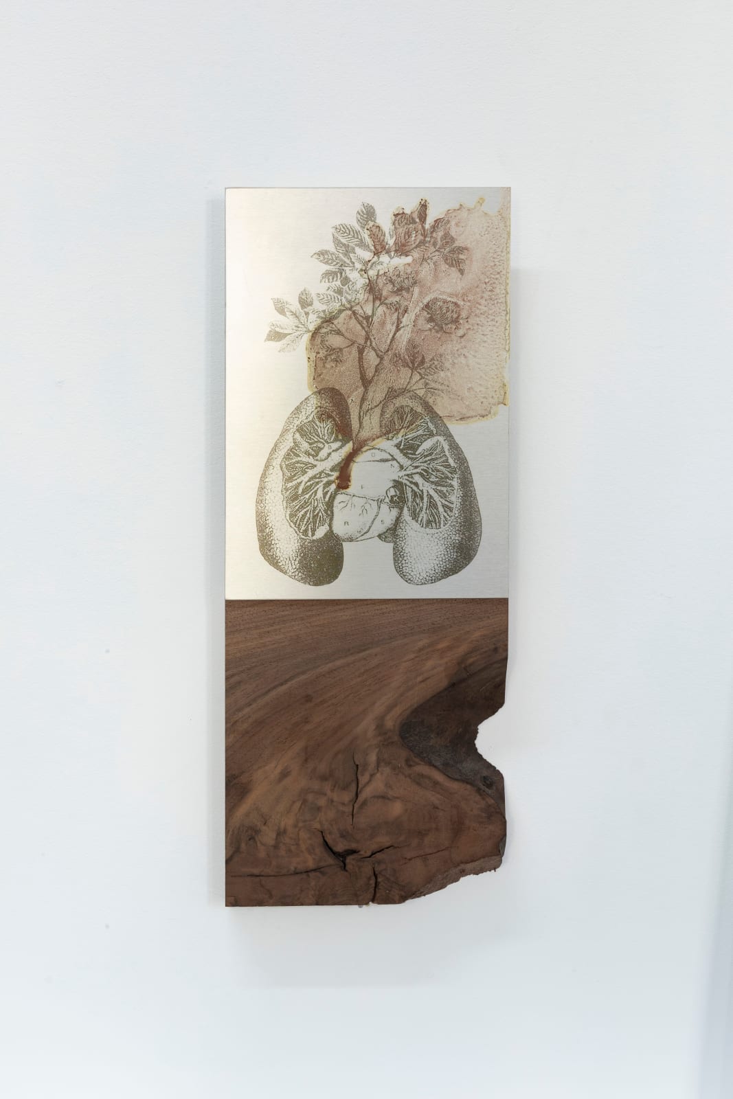 Janet Laurence, Breathing , 2024