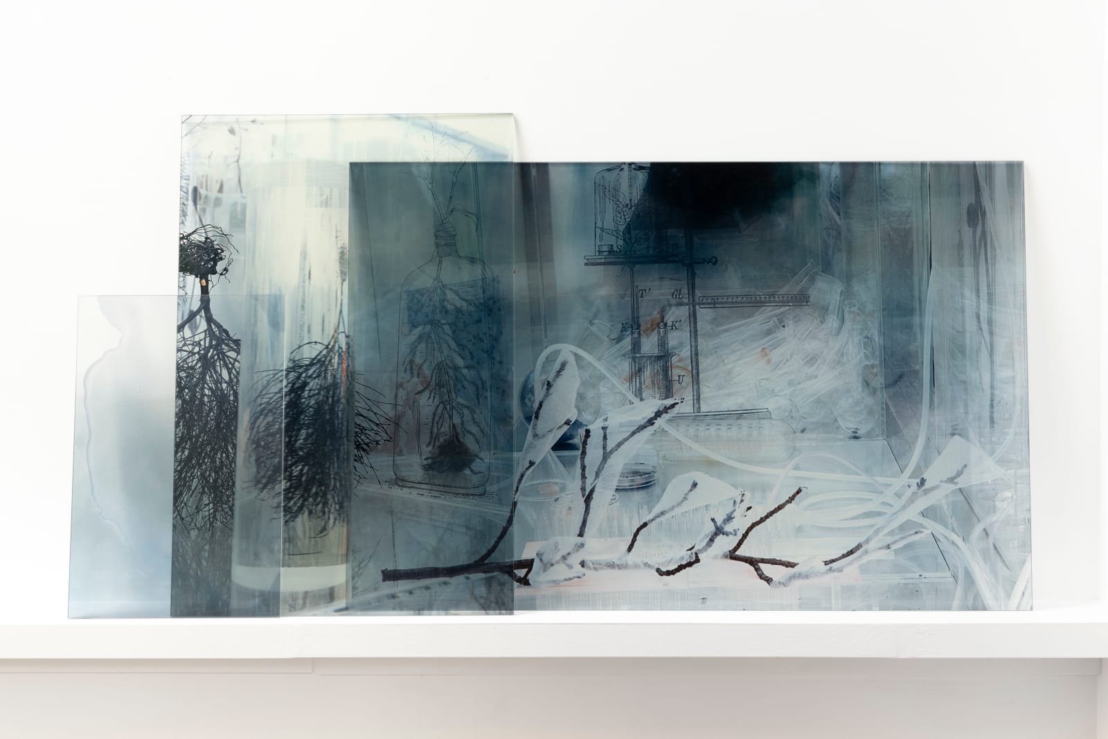 Janet Laurence, Garden of Ash, 2024