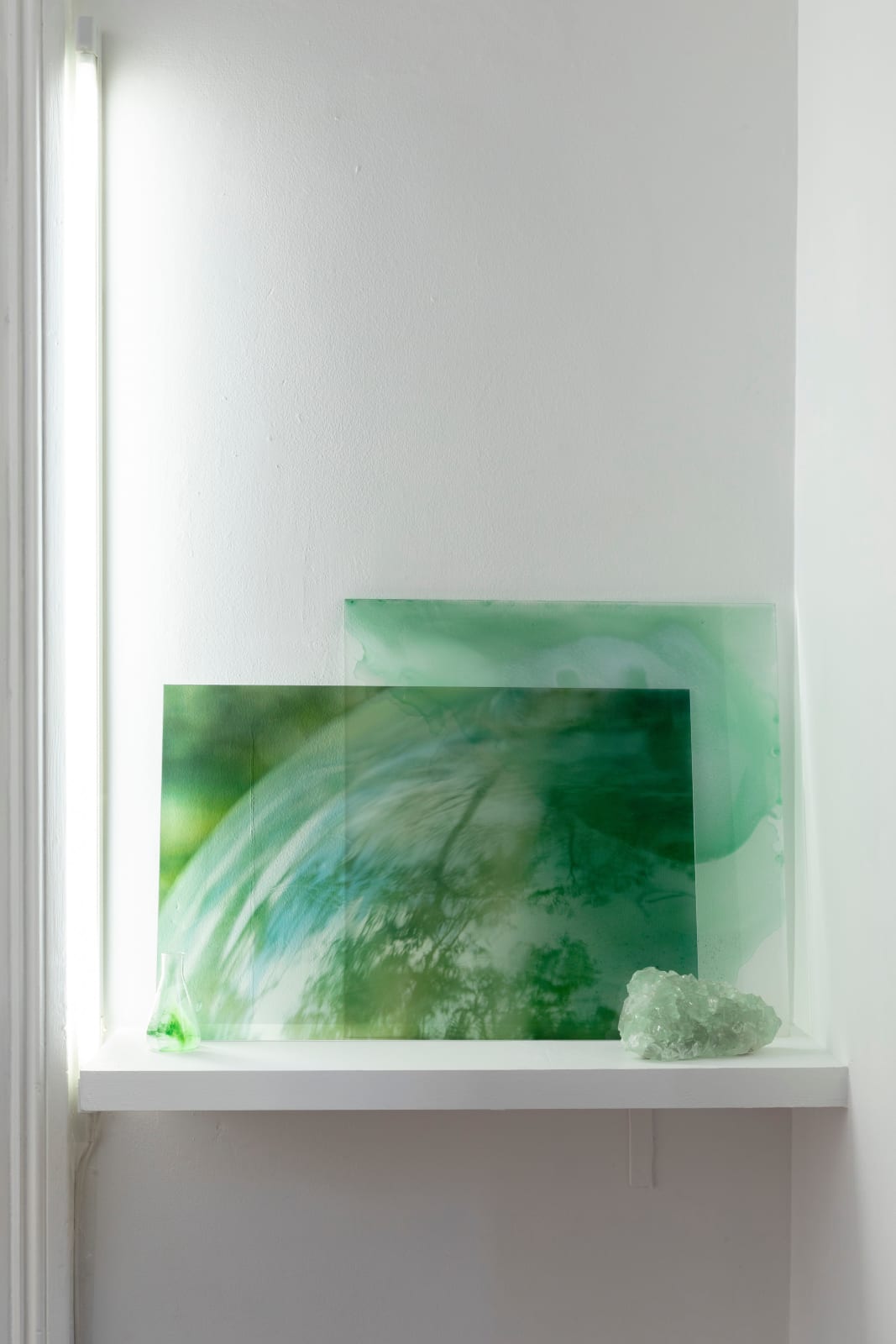 Janet Laurence, Fuse, 2024