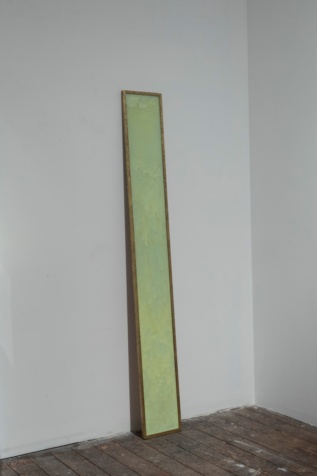 Janet Laurence, Principal Life Matter, 2024