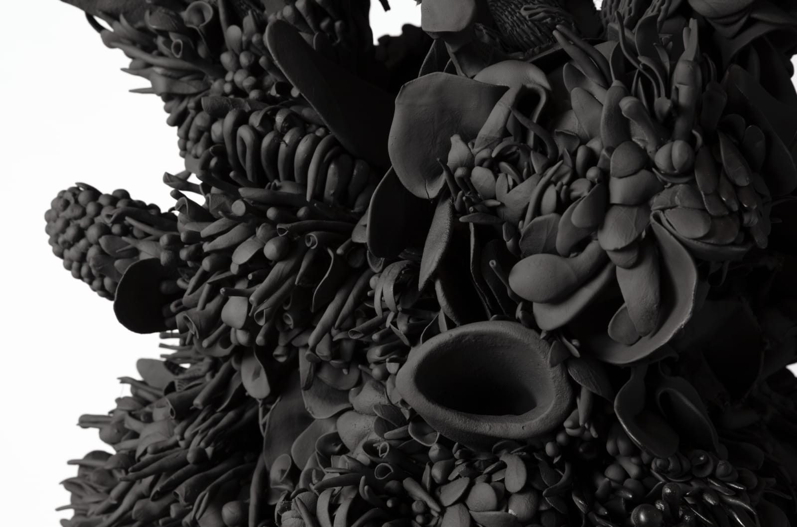 Juz Kitson, Observe the many ways, liminal spaces bordering things we already know. In memory of the wildfires, 2022