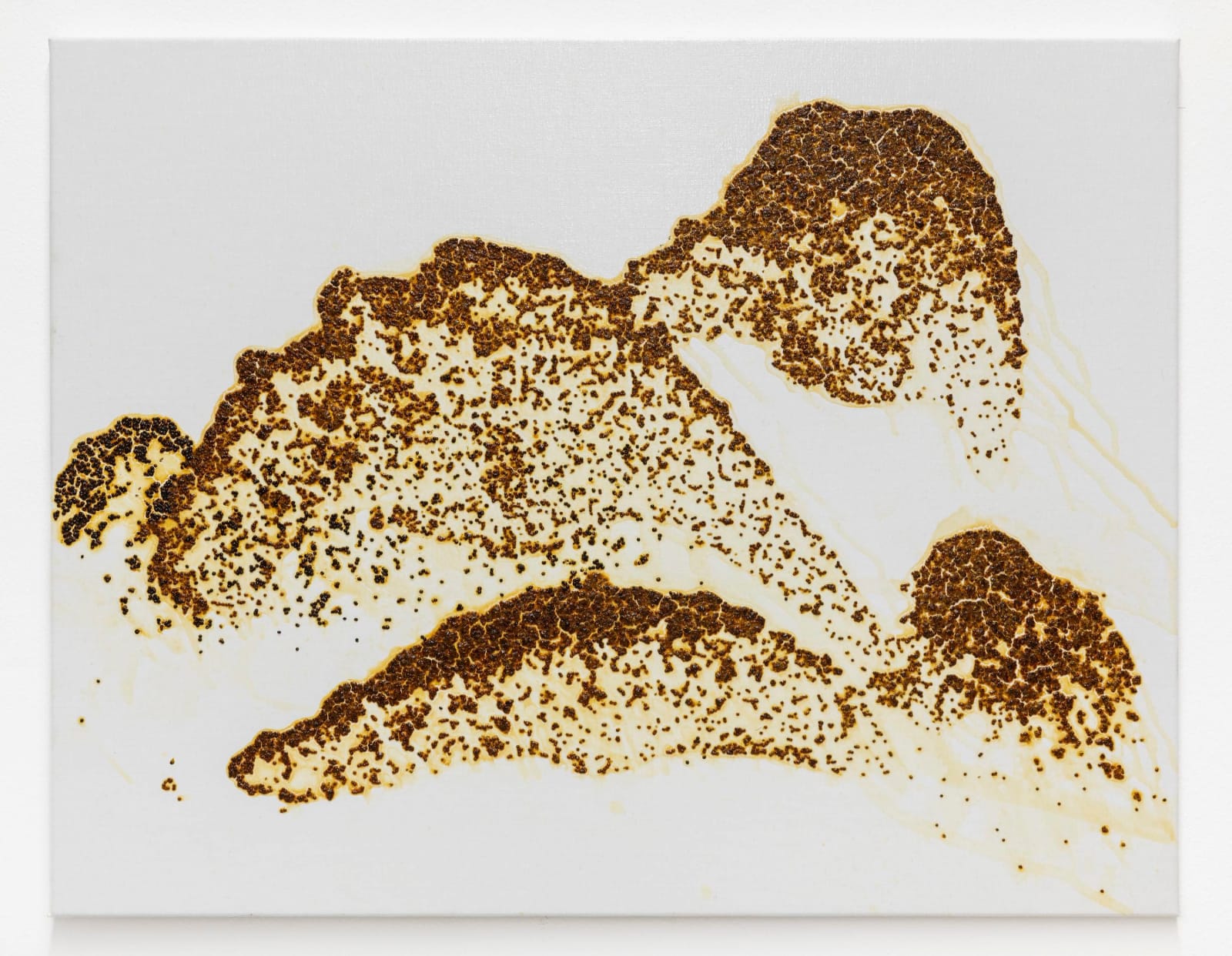 Georg Herold, Untitled, 2006