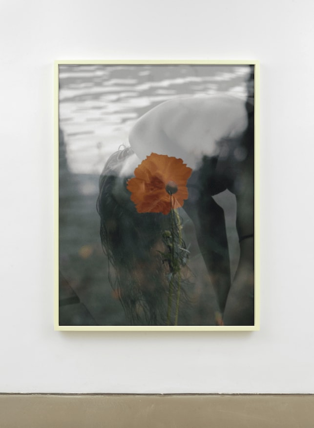 Yves Scherer, Untitled, 2023