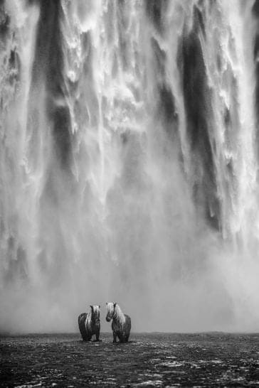 David Yarrow, The Dream, 2018