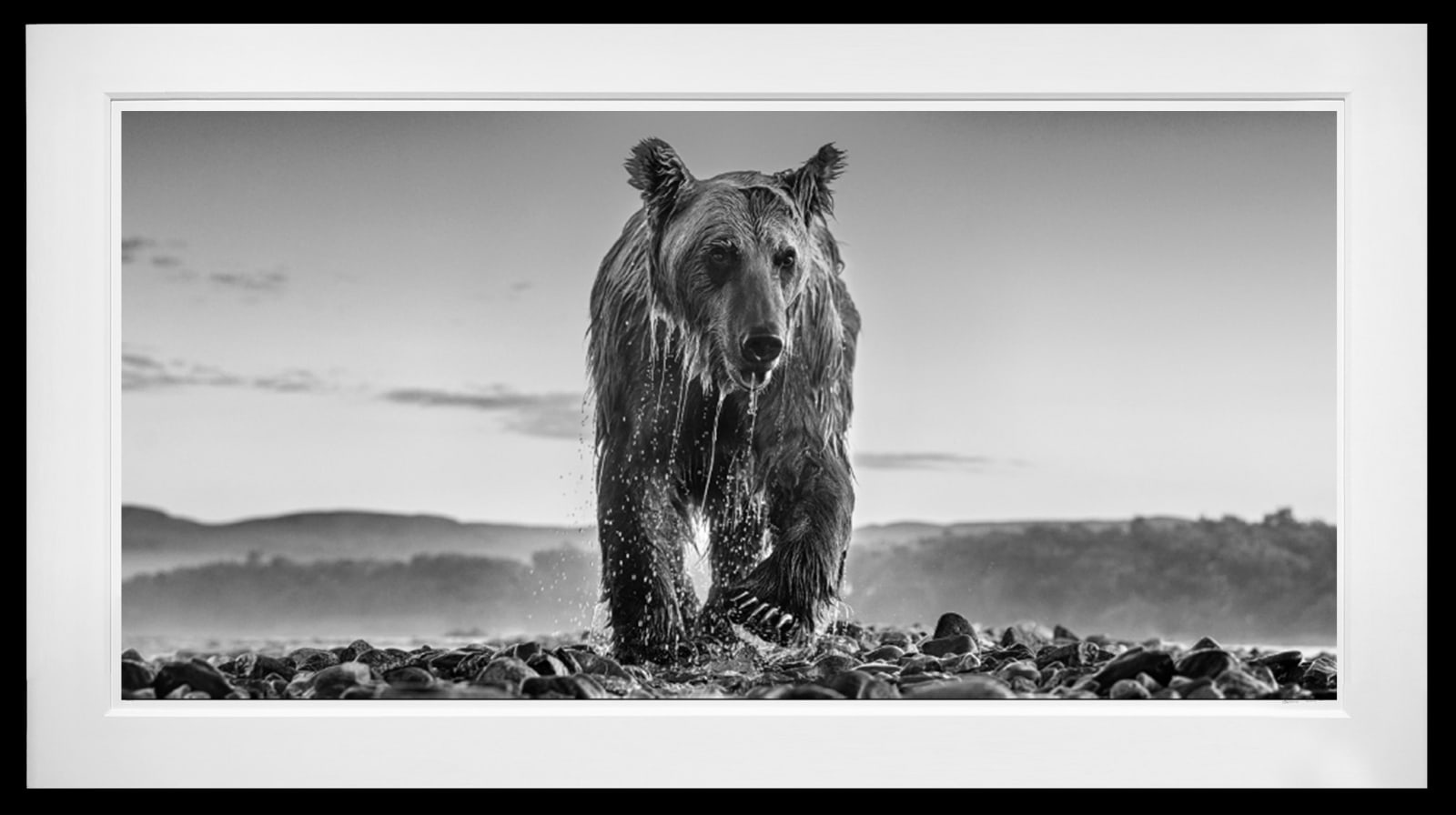 David Yarrow, Bear Island, 2023