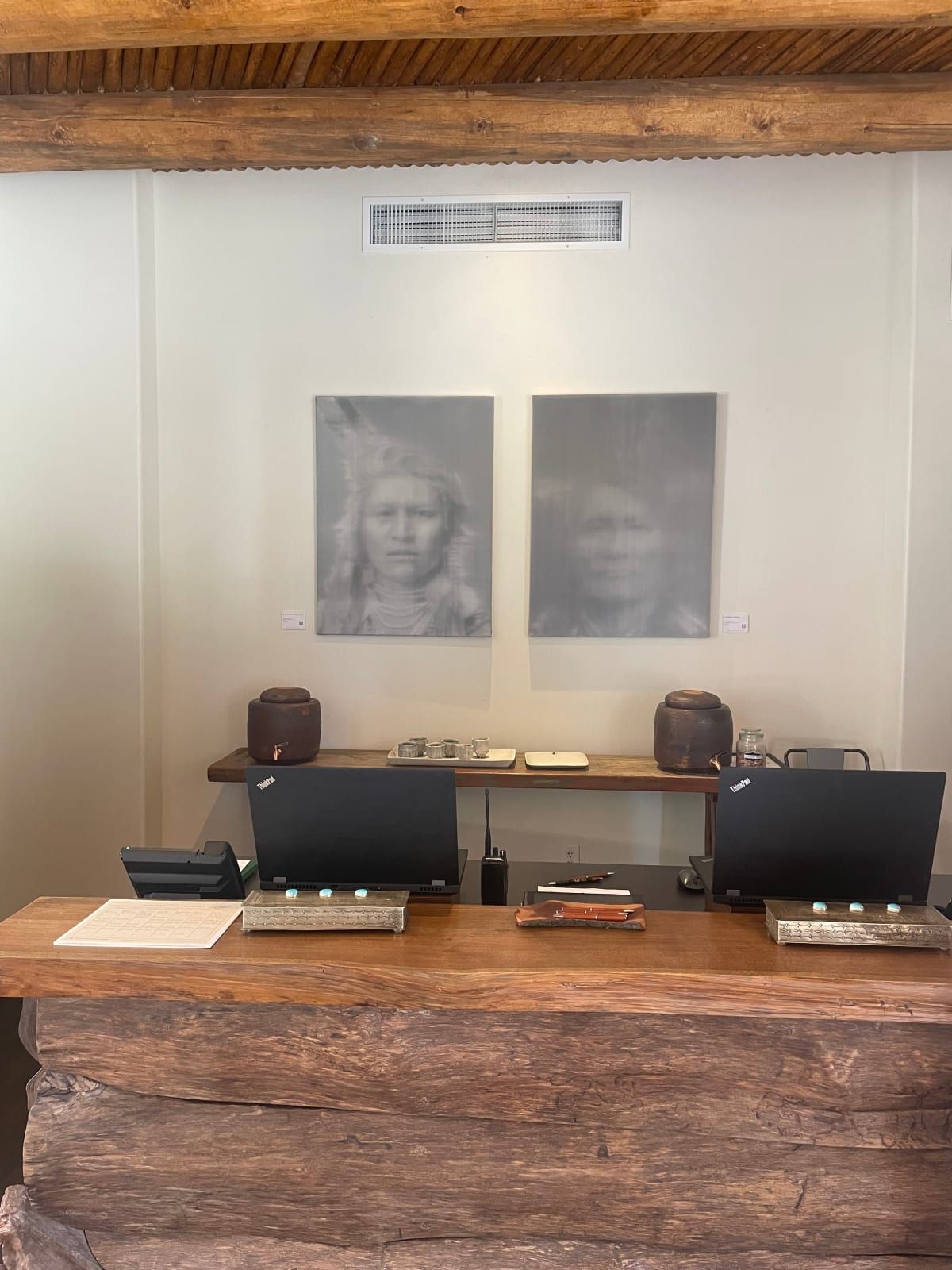 Alison Van Pelt, Long-Mandan, Lakota, All American, 2010