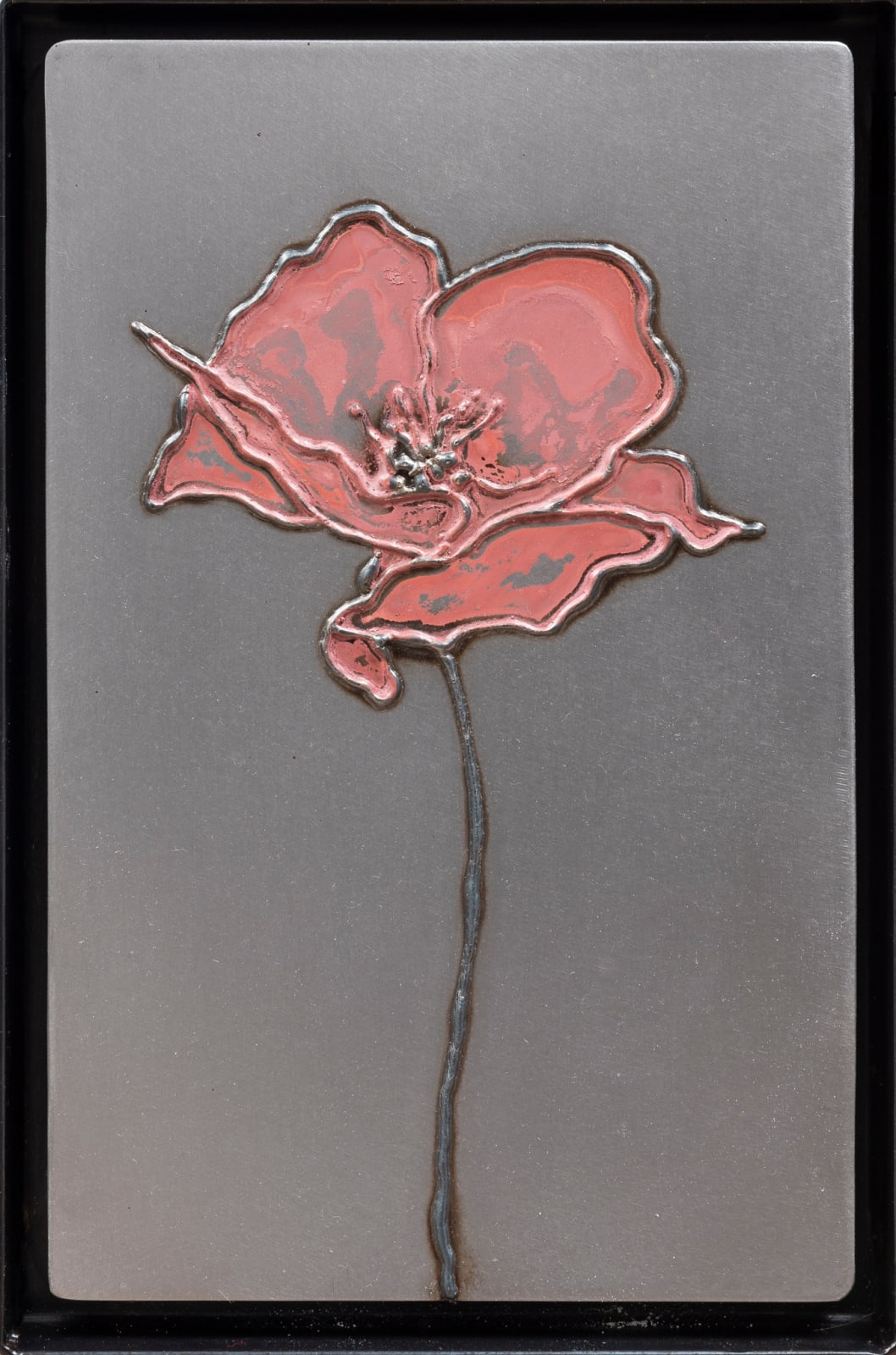 Nick Moss, Blush Poppy, 2023