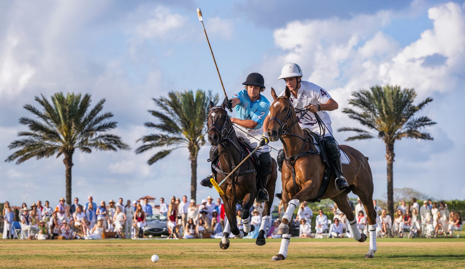 David Yarrow, Wellington (Color), 2025