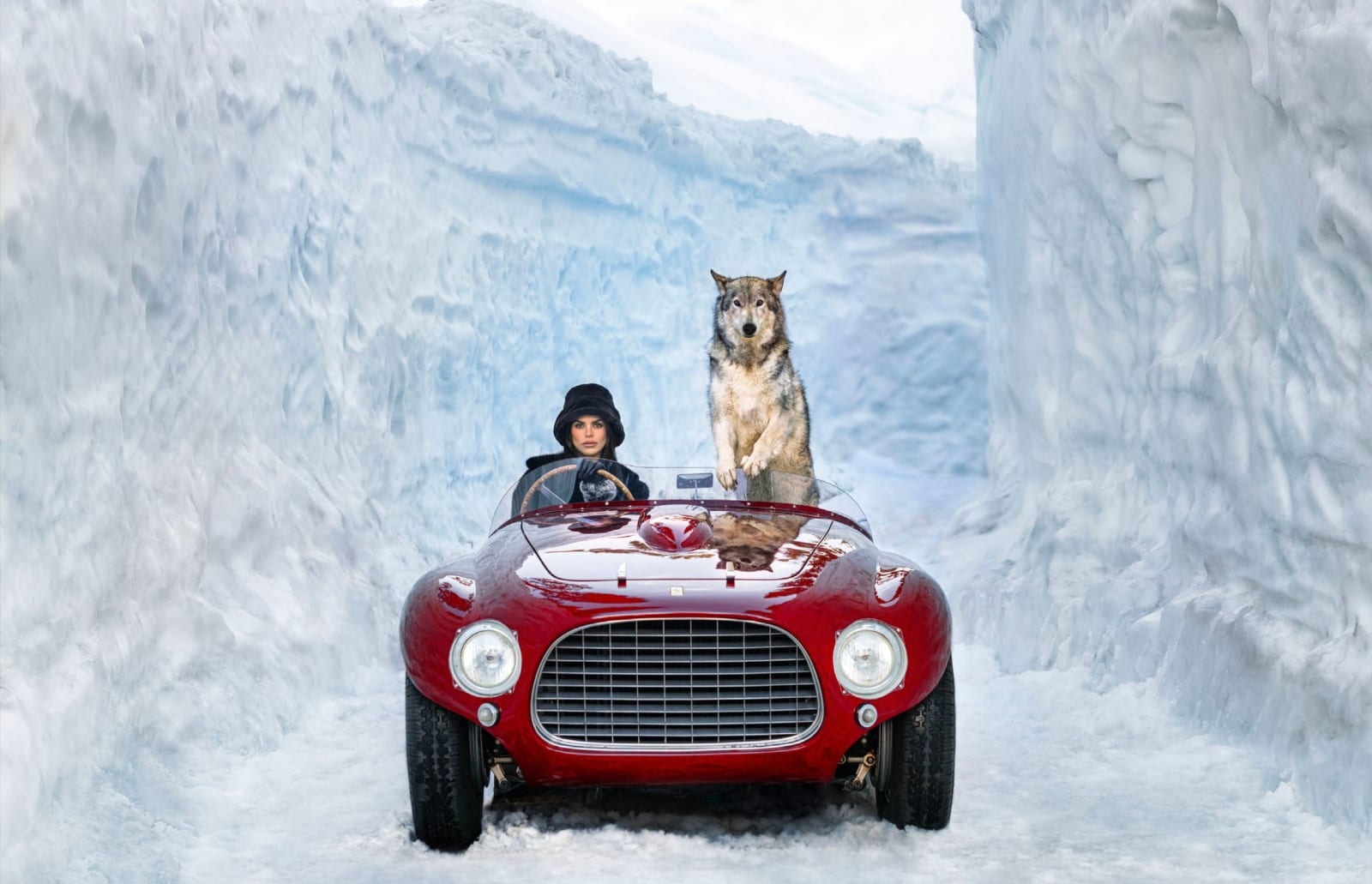 David Yarrow, 1953 (Color), 2024