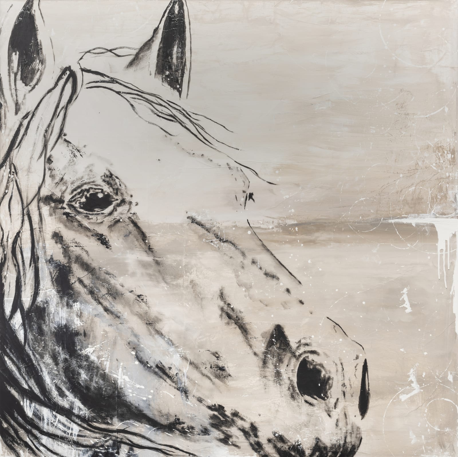 Danielle Procaccio, Compassion, 2020