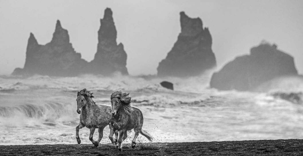 David Yarrow, Wild Horses, 2018