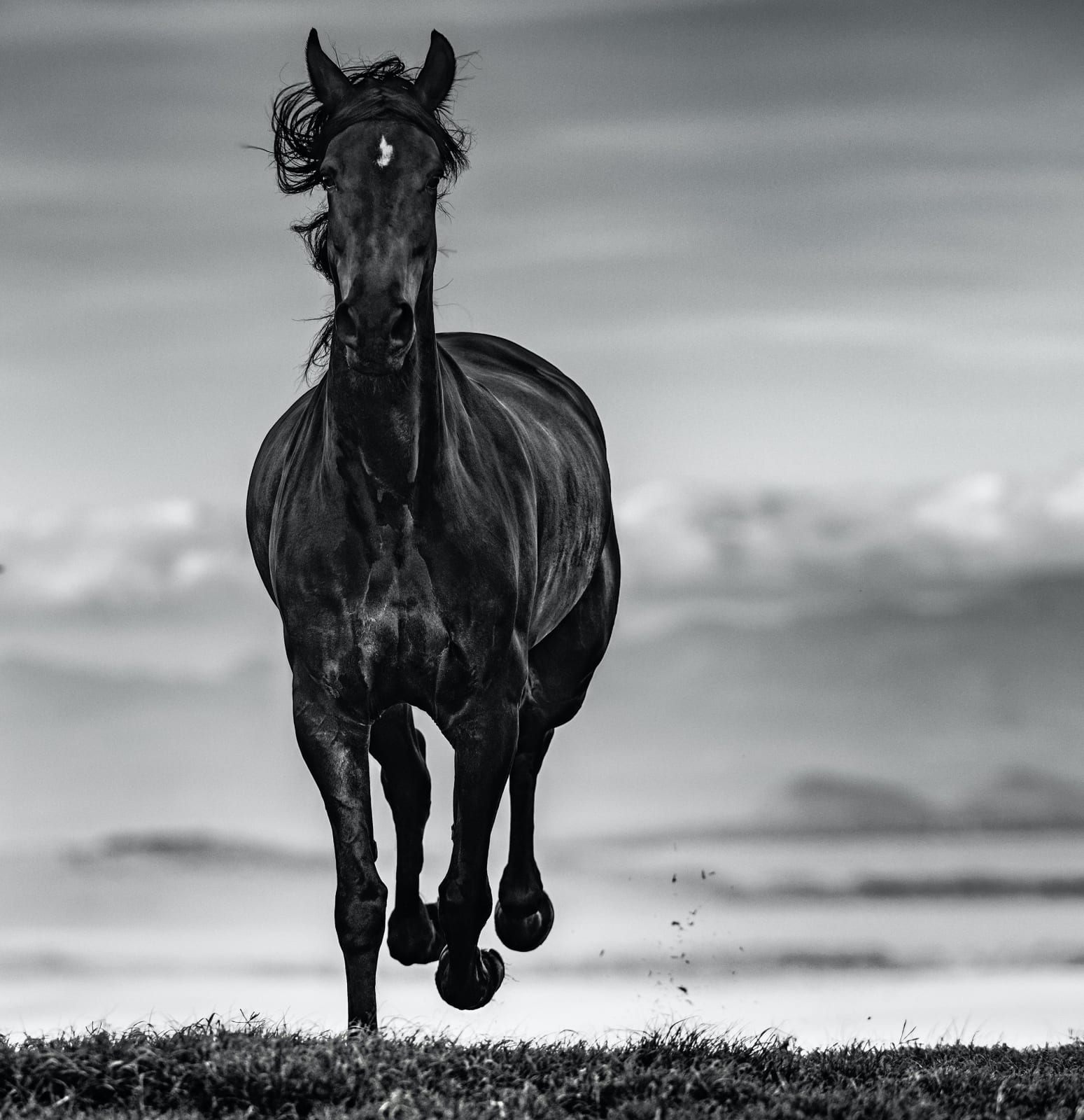 David Yarrow, Black Beauty, 2019