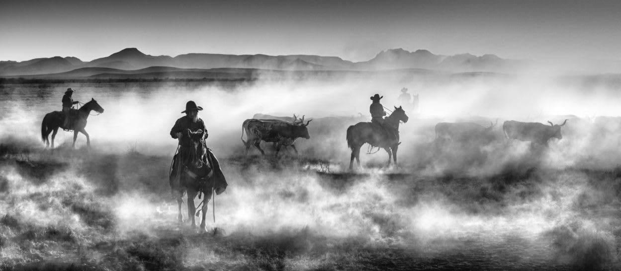 David Yarrow, Drovers, 2021