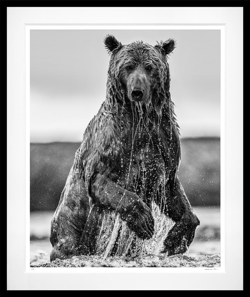 David Yarrow, Backcountry, 2025
