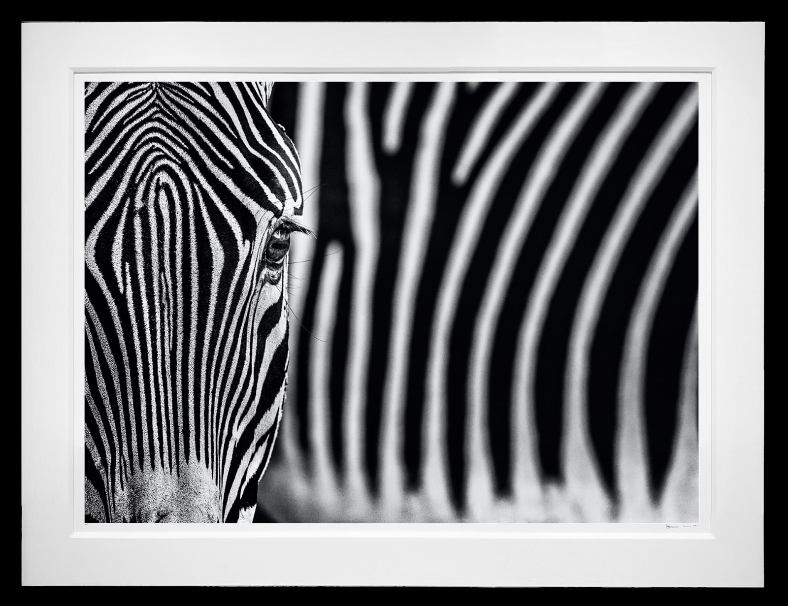 David Yarrow, White Lines, 2020