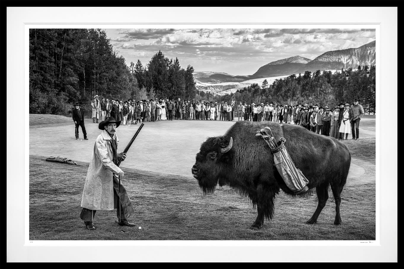 David Yarrow, Bison DeChambeau, 2025