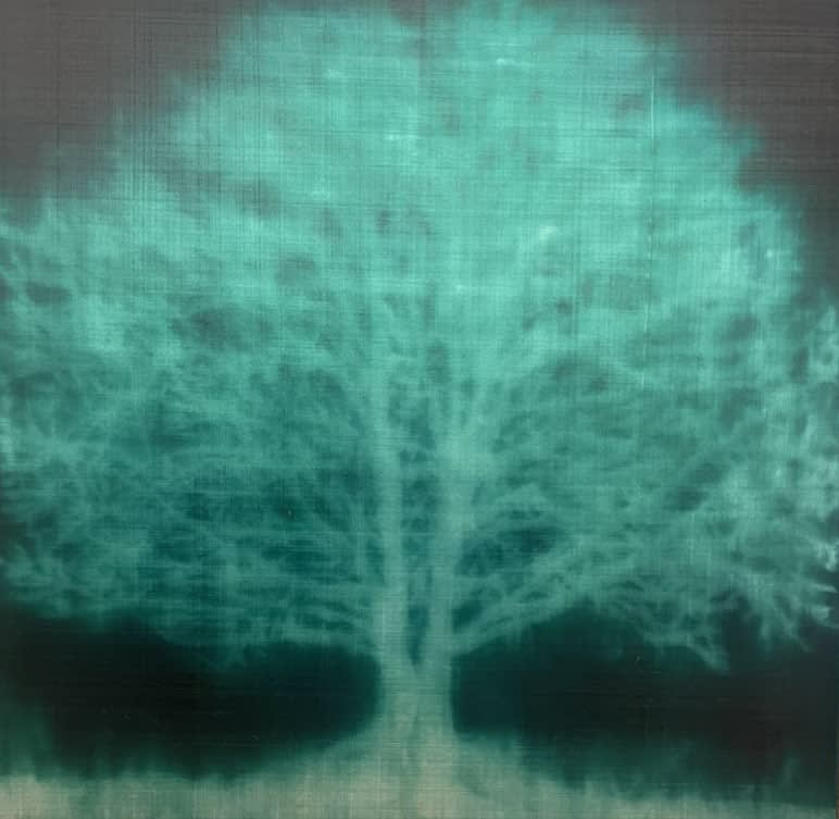 Alison Van Pelt, Green Tree, 2020