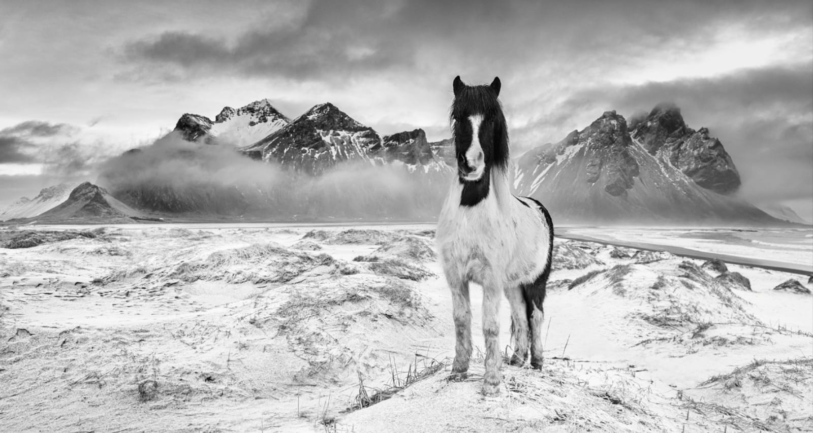 David Yarrow, True North, 2022