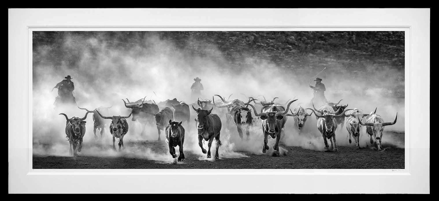 David Yarrow, Lonesome Dove, 2024