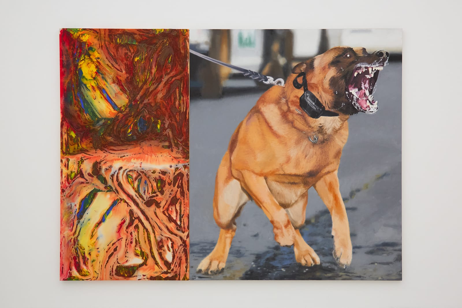 Colin Crumplin, Dog, 2024
