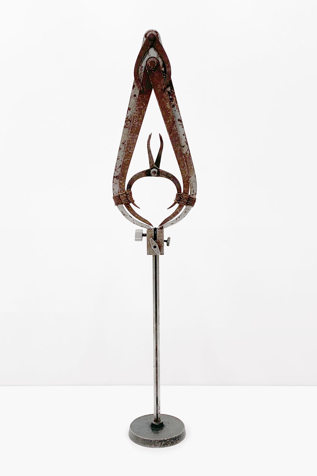 Cate Wind, Zangengeburt, 2020